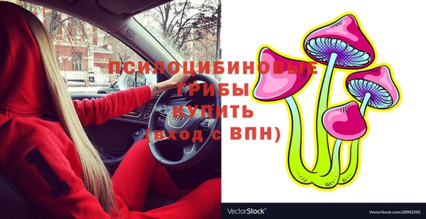 бошки Верхний Тагил